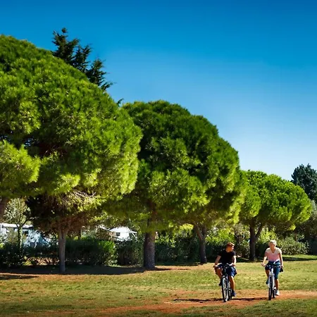Maistra Amarin Glamping 4* Ρόβινι