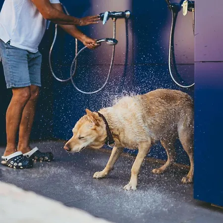 Maistra Amarin Glamping Luxuszelt