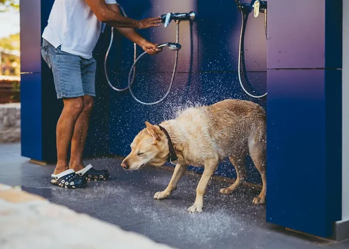 Maistra Amarin Glamping Campismo de Luxo